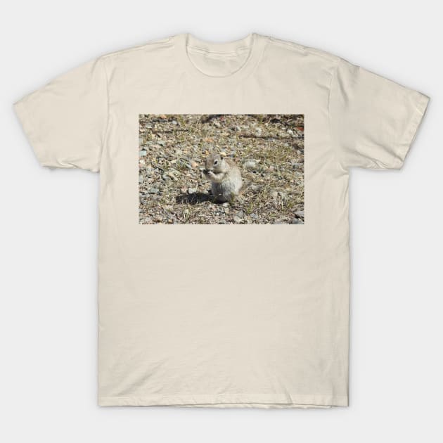 prairie dog, wildlife, animals, nature, gifts T-Shirt by sandyo2ly